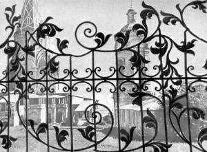 металлические ворота, кованые ворота, кованые заборы